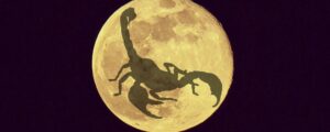 luna-piena-in-scorpione